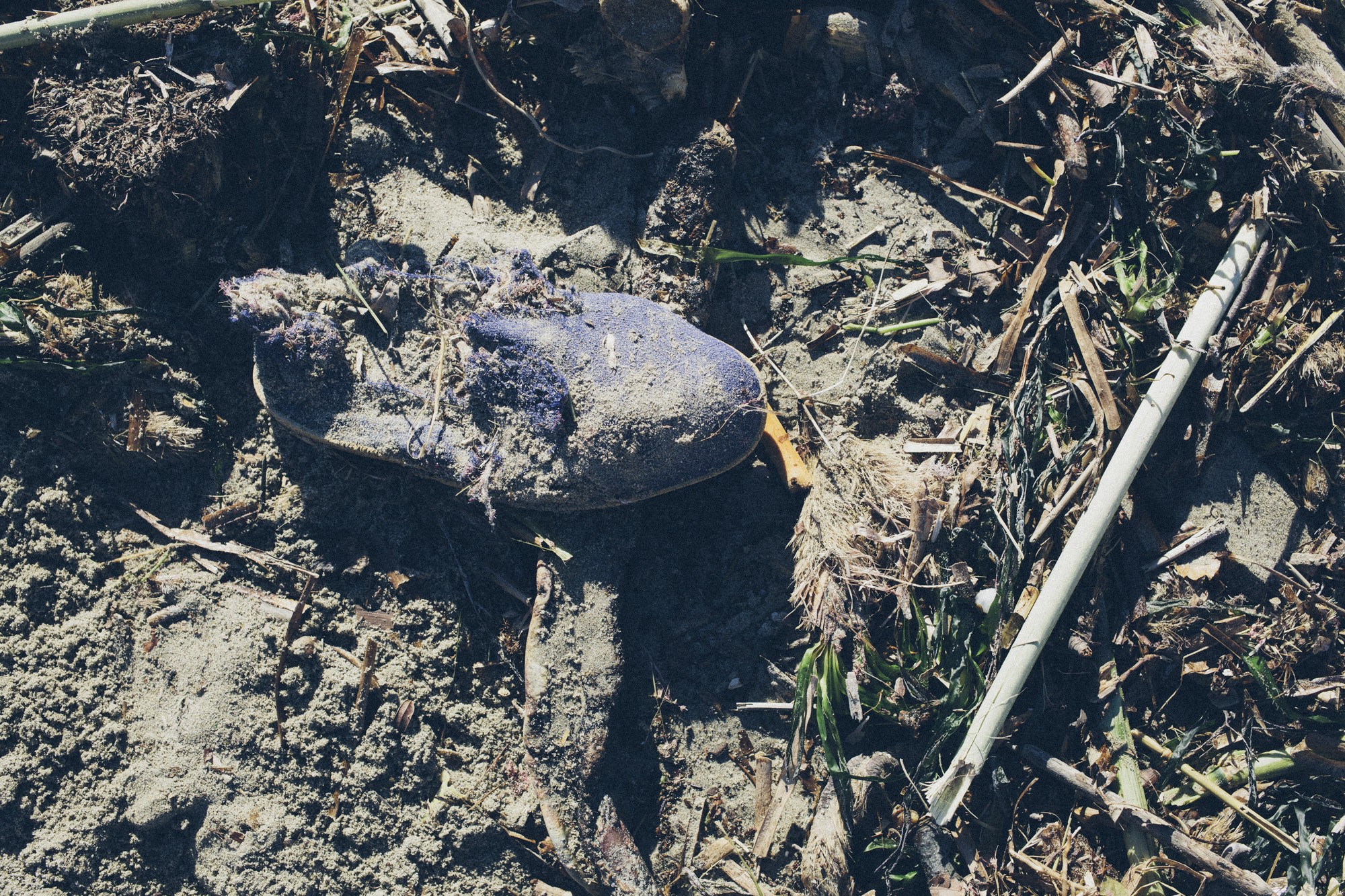 © Holger Kral • Photography - IMG_4598 - 2013, beach, color, italy, urban landscape, wasteland, winter - photo #4 - 