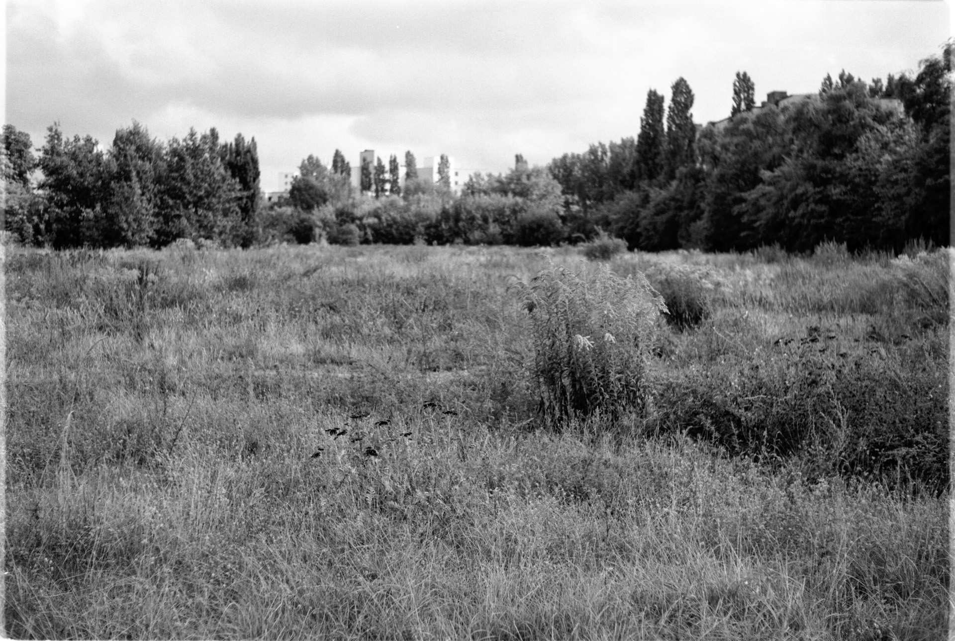 © Holger Kral • Photography - 04-14-12 - 2004, berlin, blackwhite, city, street, summer, urban landscape - photo #3 - 