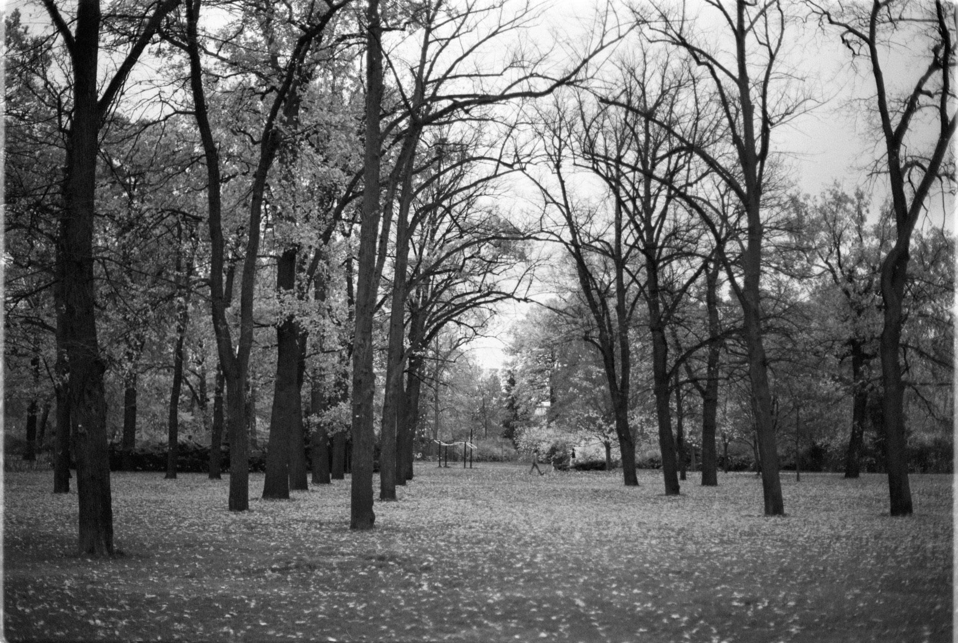 © Holger Kral • Photography - 04-24-03 - 2004, berlin, blackwhite, city, street, summer, urban landscape - photo #10 - 