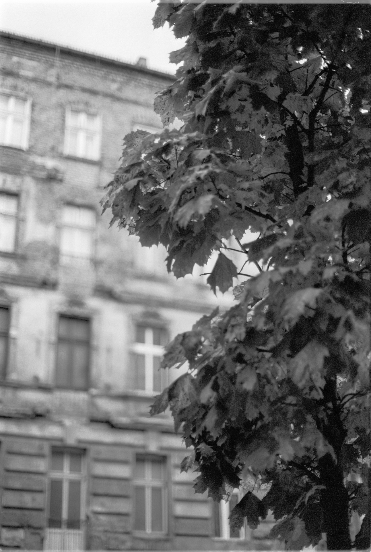 © Holger Kral • Photography - 04-24-63 - 2004, berlin, blackwhite, city, street, summer, urban landscape - photo #14 - 