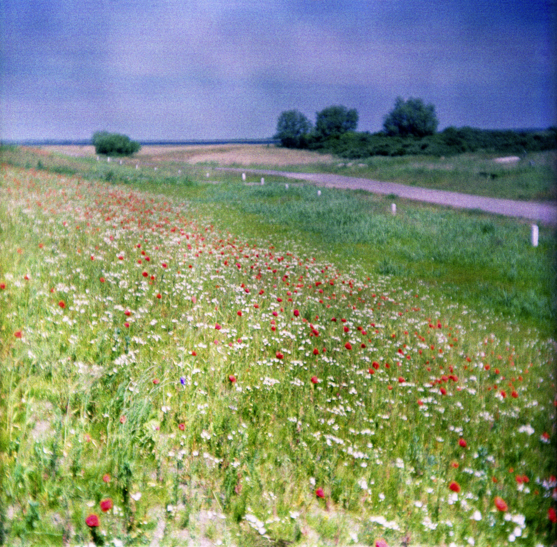 © Holger Kral • Photography - 3430_Hiddensee_II -  - photo #2 - 