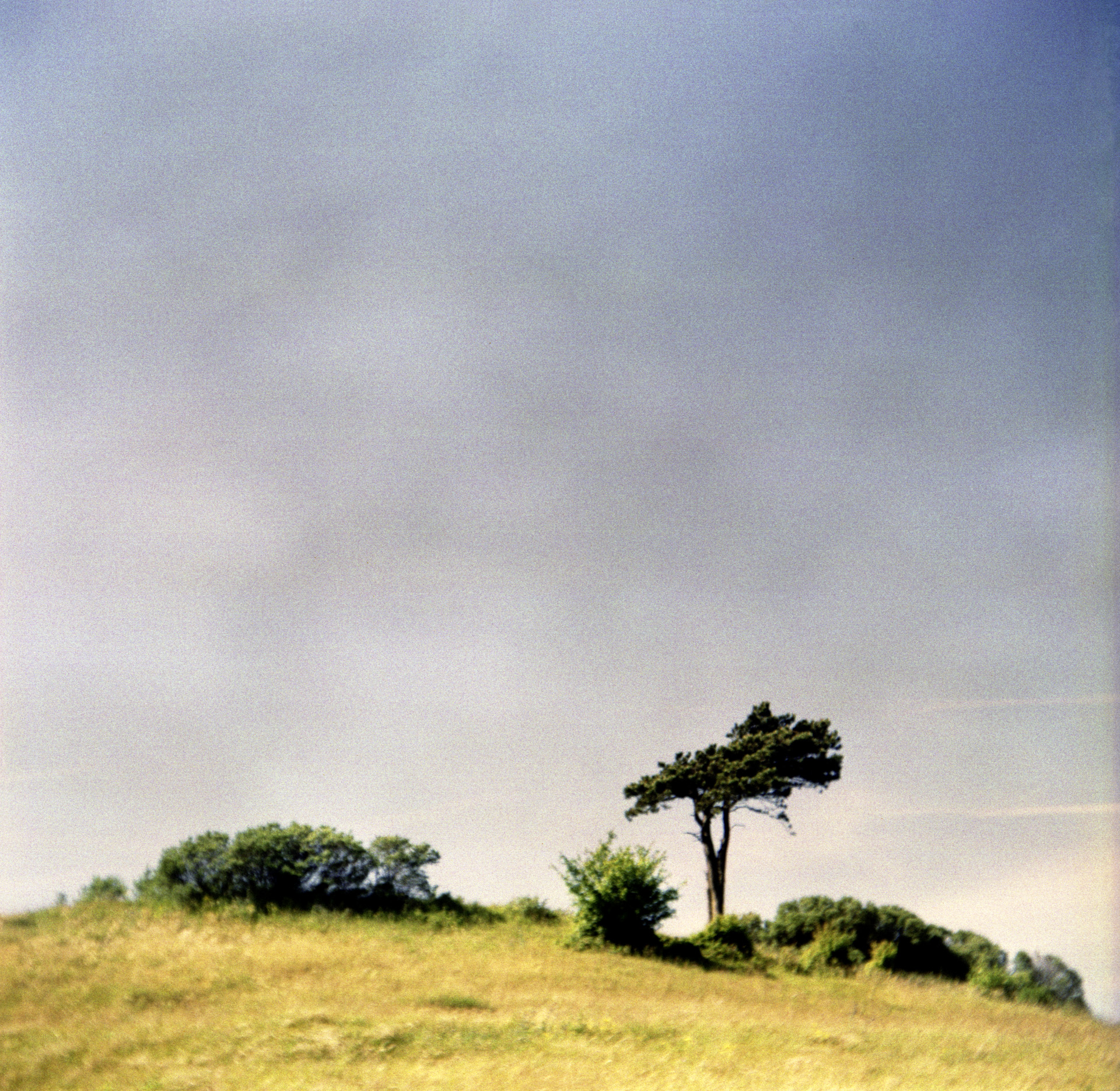 © Holger Kral • Photography - 3431_Hiddensee_III -  - photo #3 - 