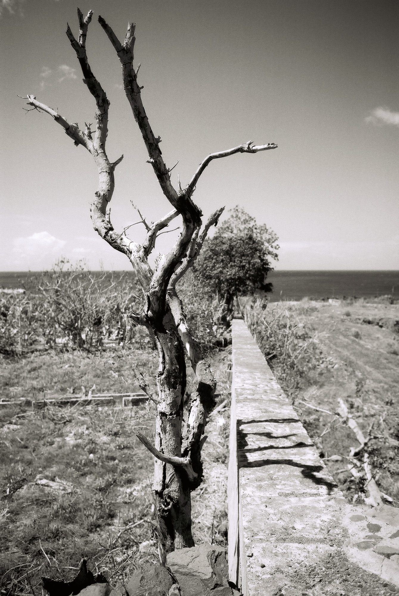 © Holger Kral • Photography - Go04_01_33 -  - photo #2 - 