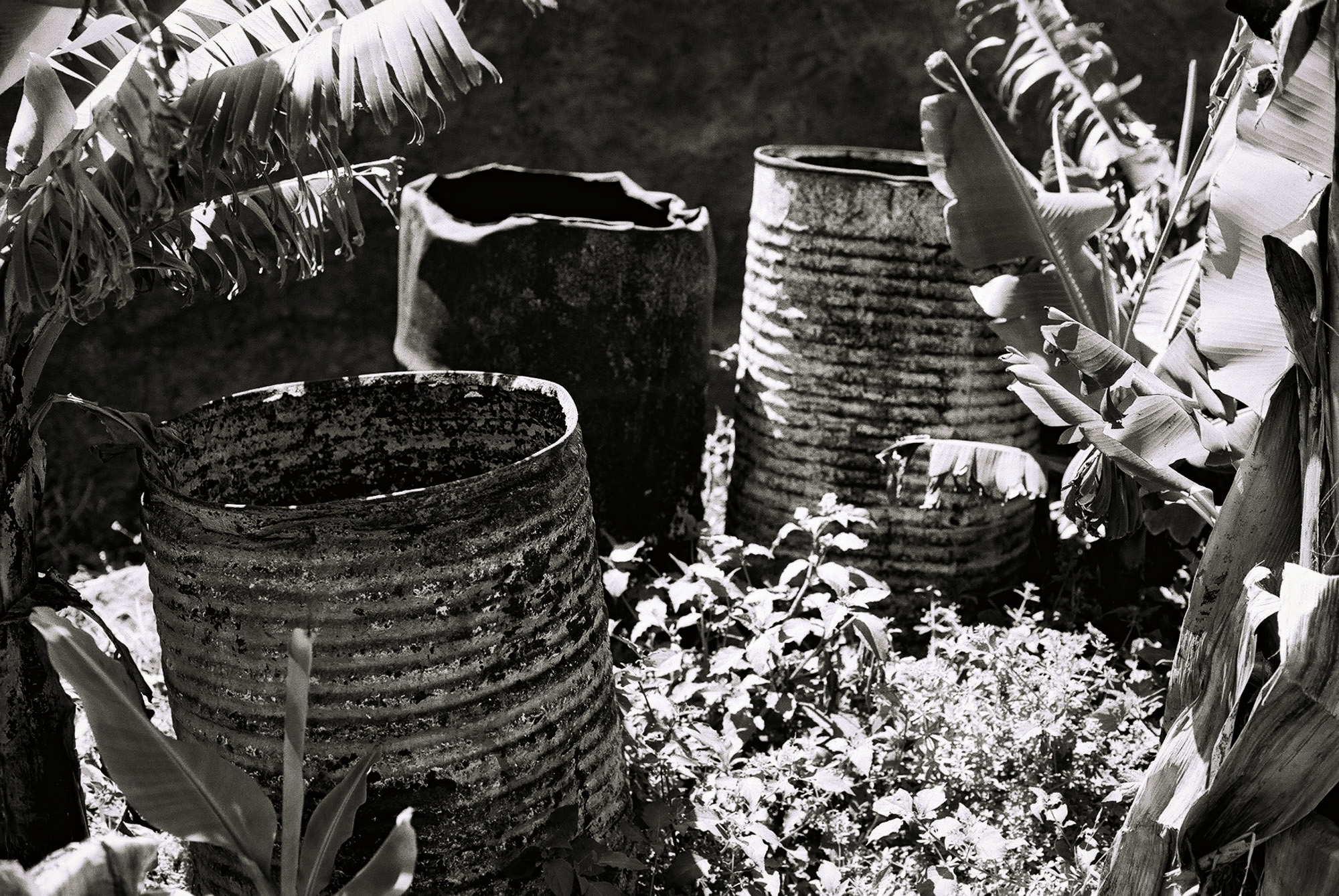 © Holger Kral • Photography - Go04_02_28 - 2004, blackwhite, flores, gomera, journey, landscape, nature - photo #4 - 