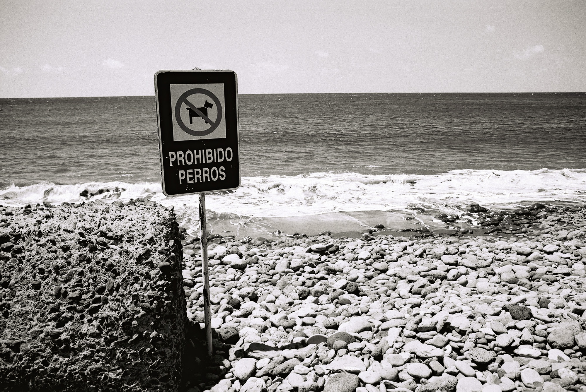 © Holger Kral • Photography - Go04_03_20 -  - photo #3 - 