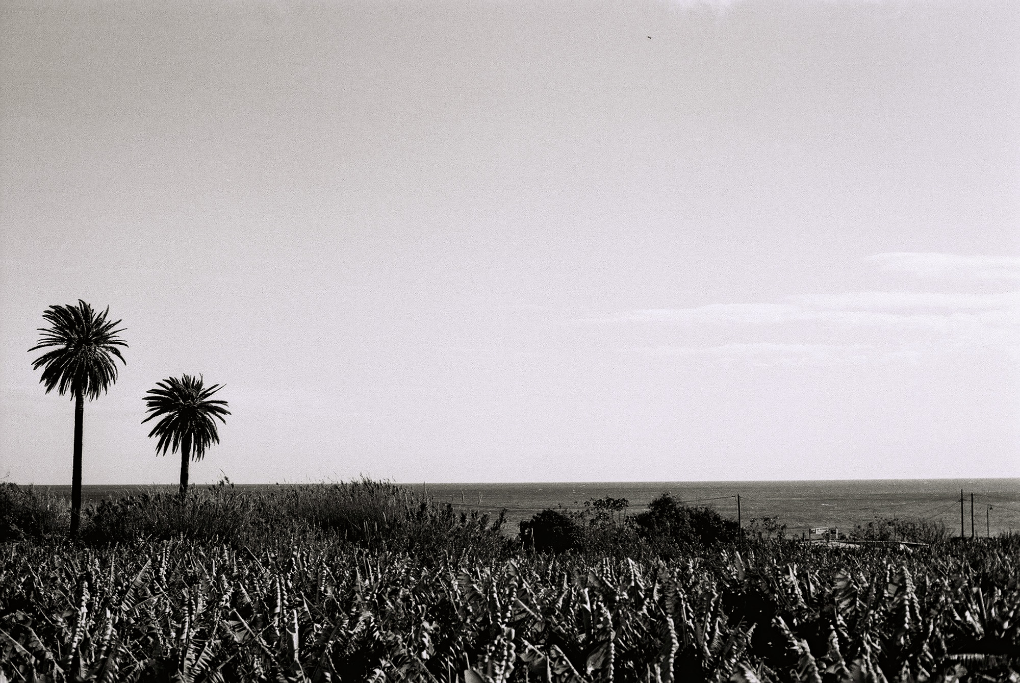 © Holger Kral • Photography - Go04_03_28 -  - photo #4 - 