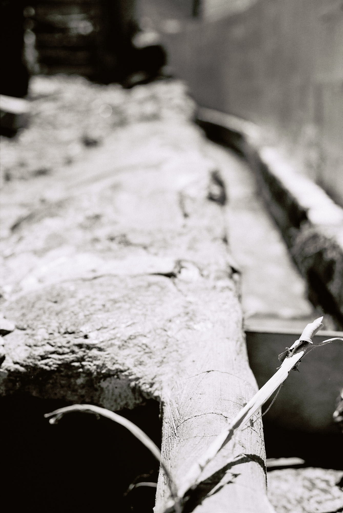 © Holger Kral • Photography - Go04_05_05 - 2004, blackwhite, cosas, gomera, journey, landscape, street - photo #2 - 