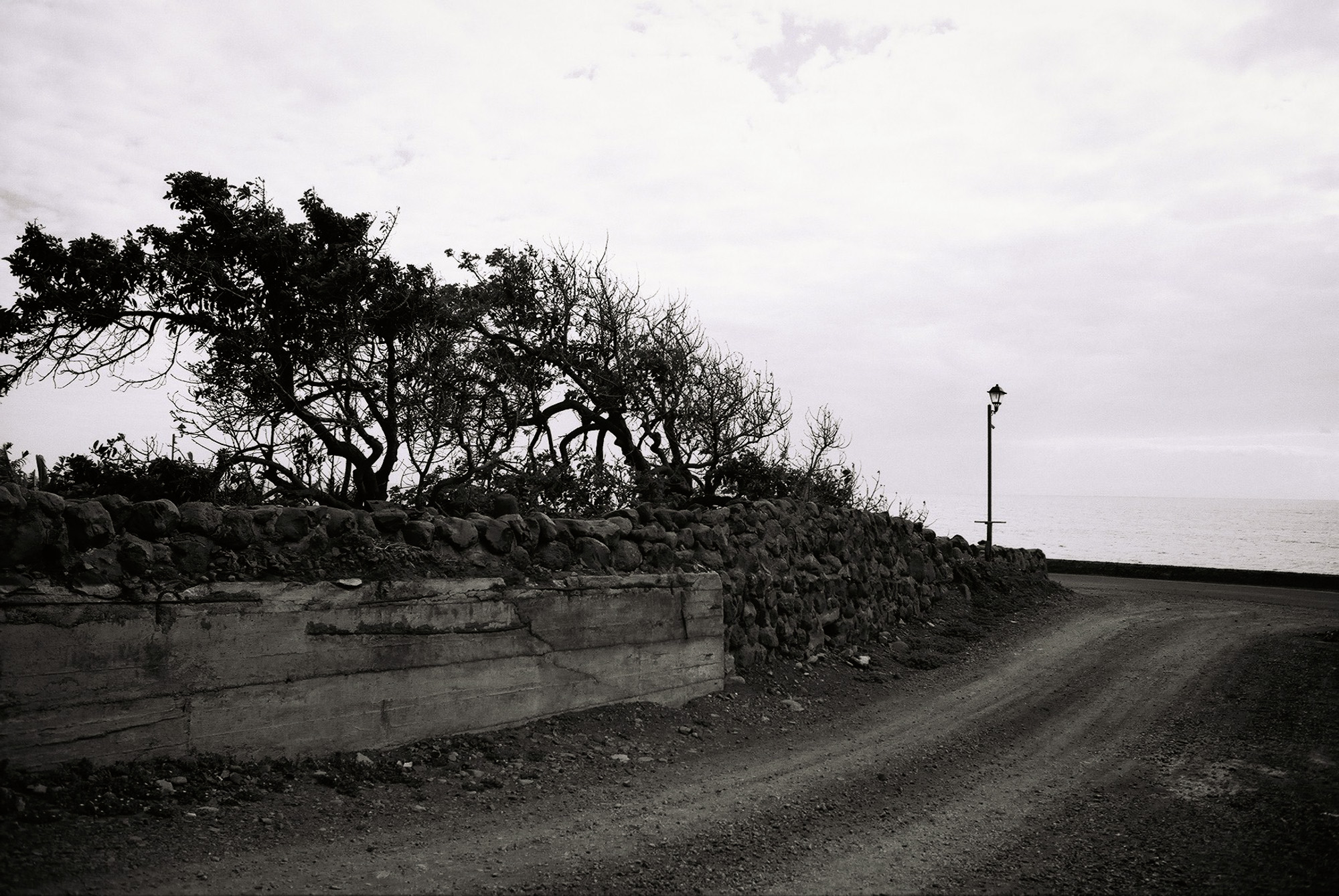 © Holger Kral • Photography - Go04_05_35 -  - photo #7 - 