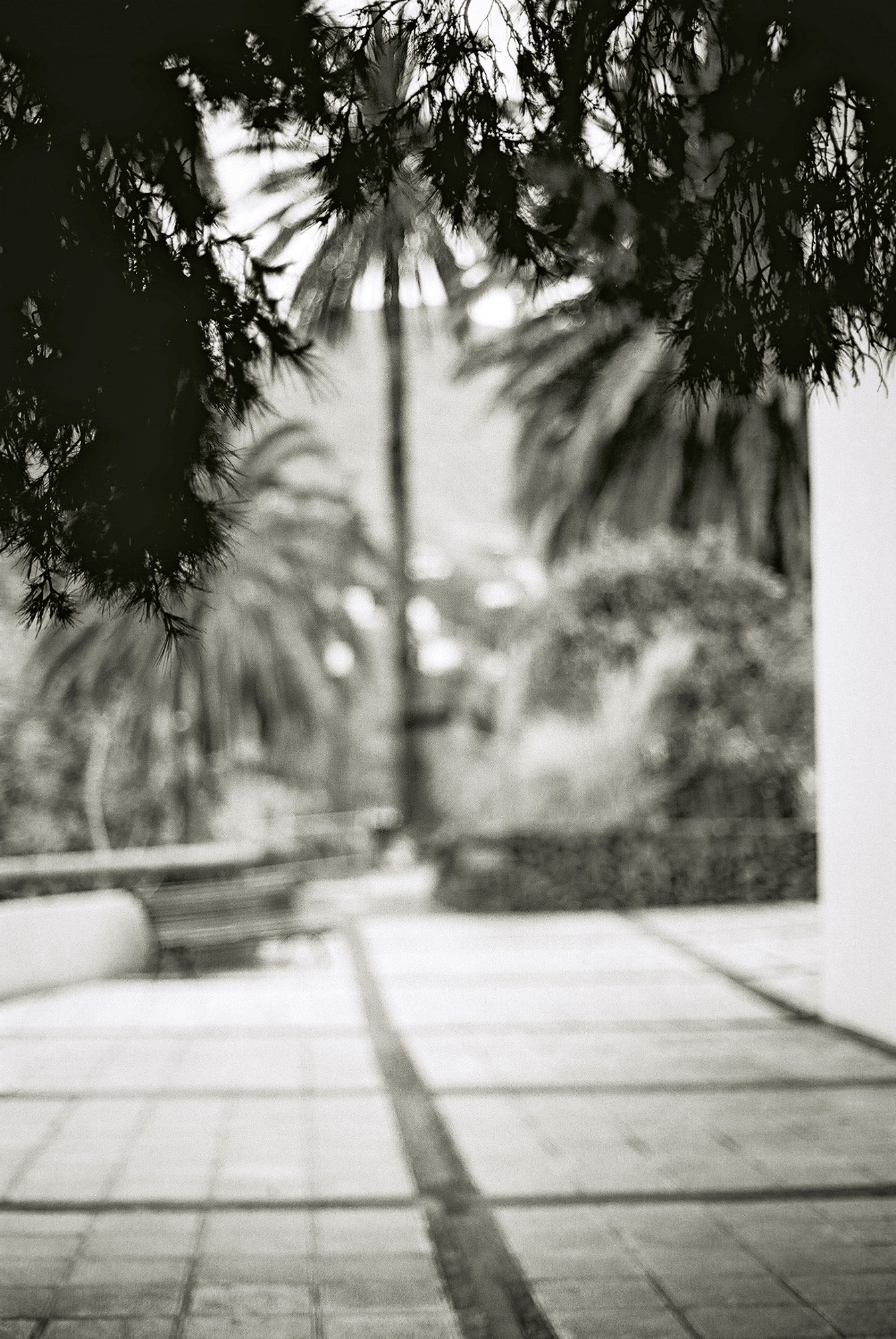 © Holger Kral • Photography - Go04_08_10 - 2004, blackwhite, cosas, gomera, journey, landscape, street - photo #10 - 