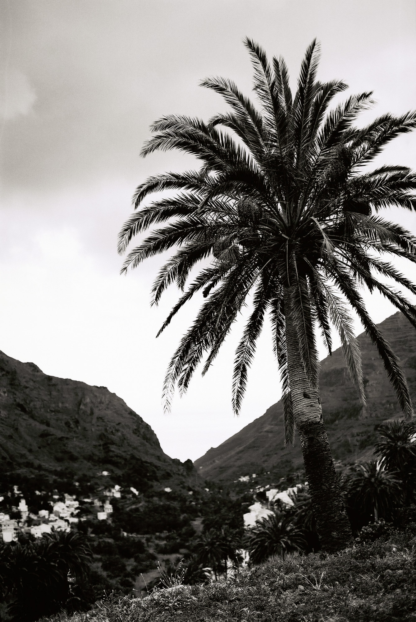 © Holger Kral • Photography - Go04_10_11 -  - photo #9 - 