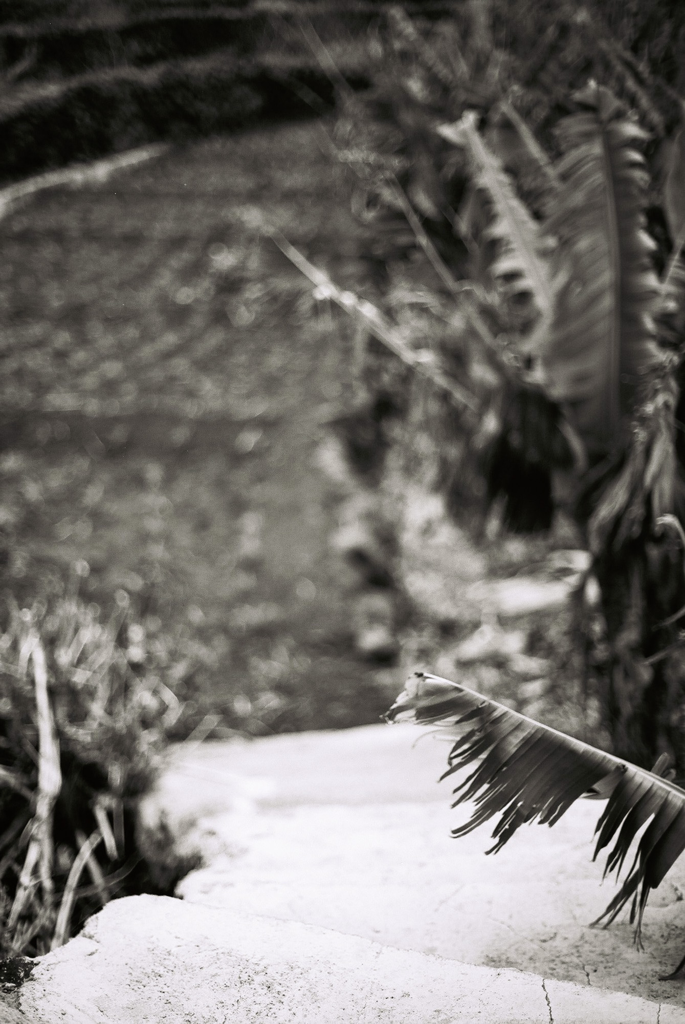 © Holger Kral • Photography - Go04_13_29 - 2004, blackwhite, cosas, gomera, journey, landscape, street - photo #25 - 