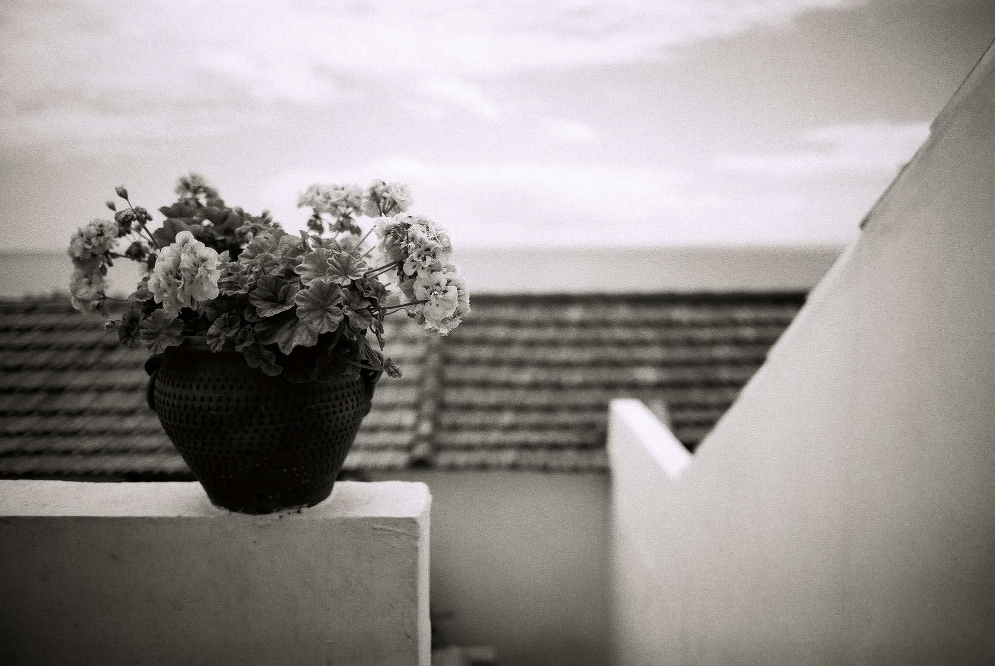 © Holger Kral • Photography - Go04_16_18 - 2004, blackwhite, cosas, gomera, journey, landscape, street - photo #35 - 
