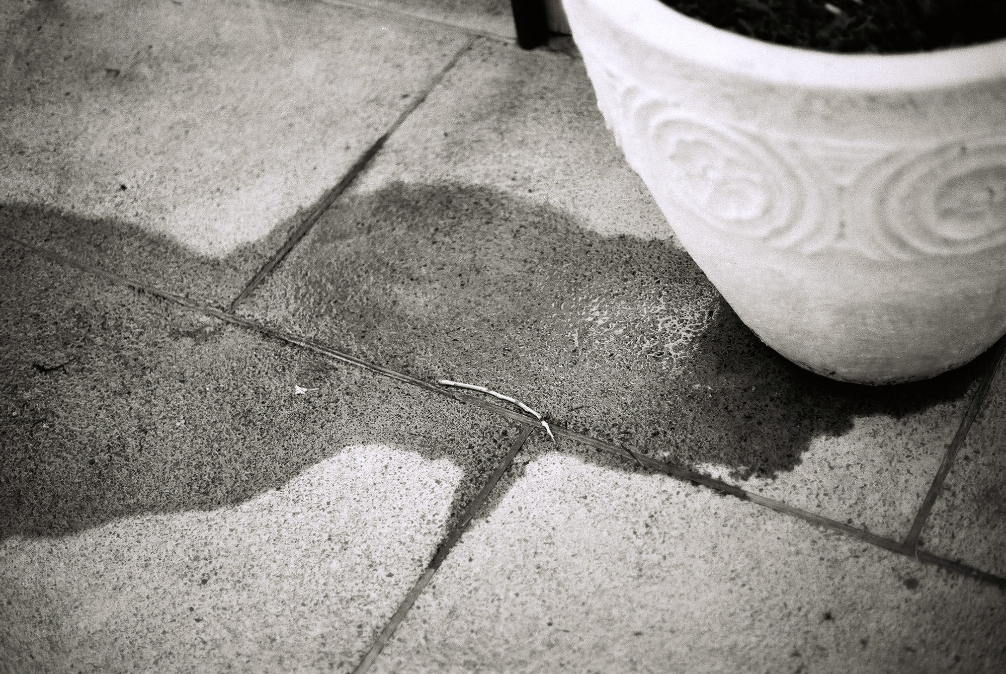 © Holger Kral • Photography - Go04_16_31 - 2004, blackwhite, cosas, gomera, journey, landscape, street - photo #36 - 