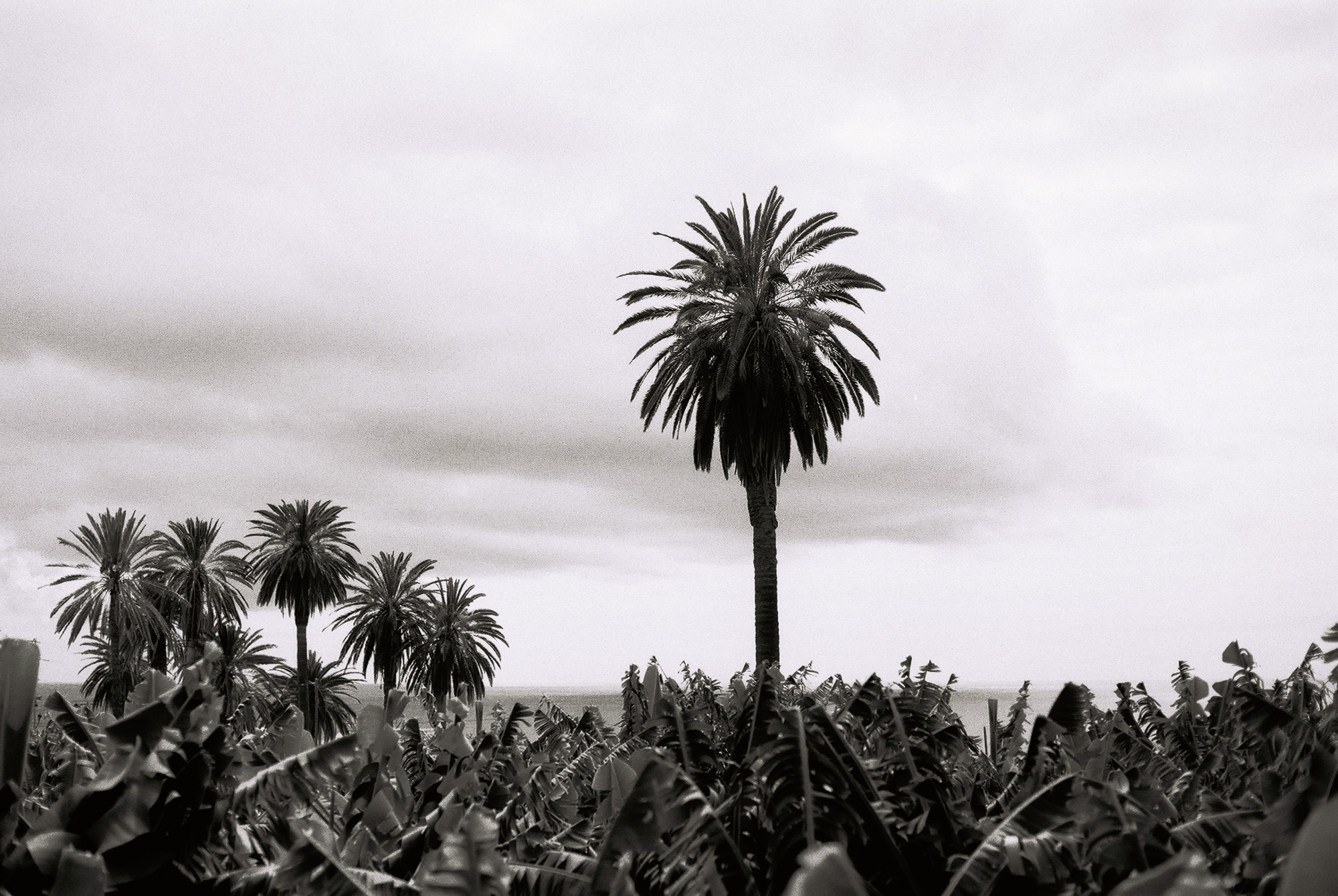 © Holger Kral • Photography - Go04_16_35 -  - photo #14 - 