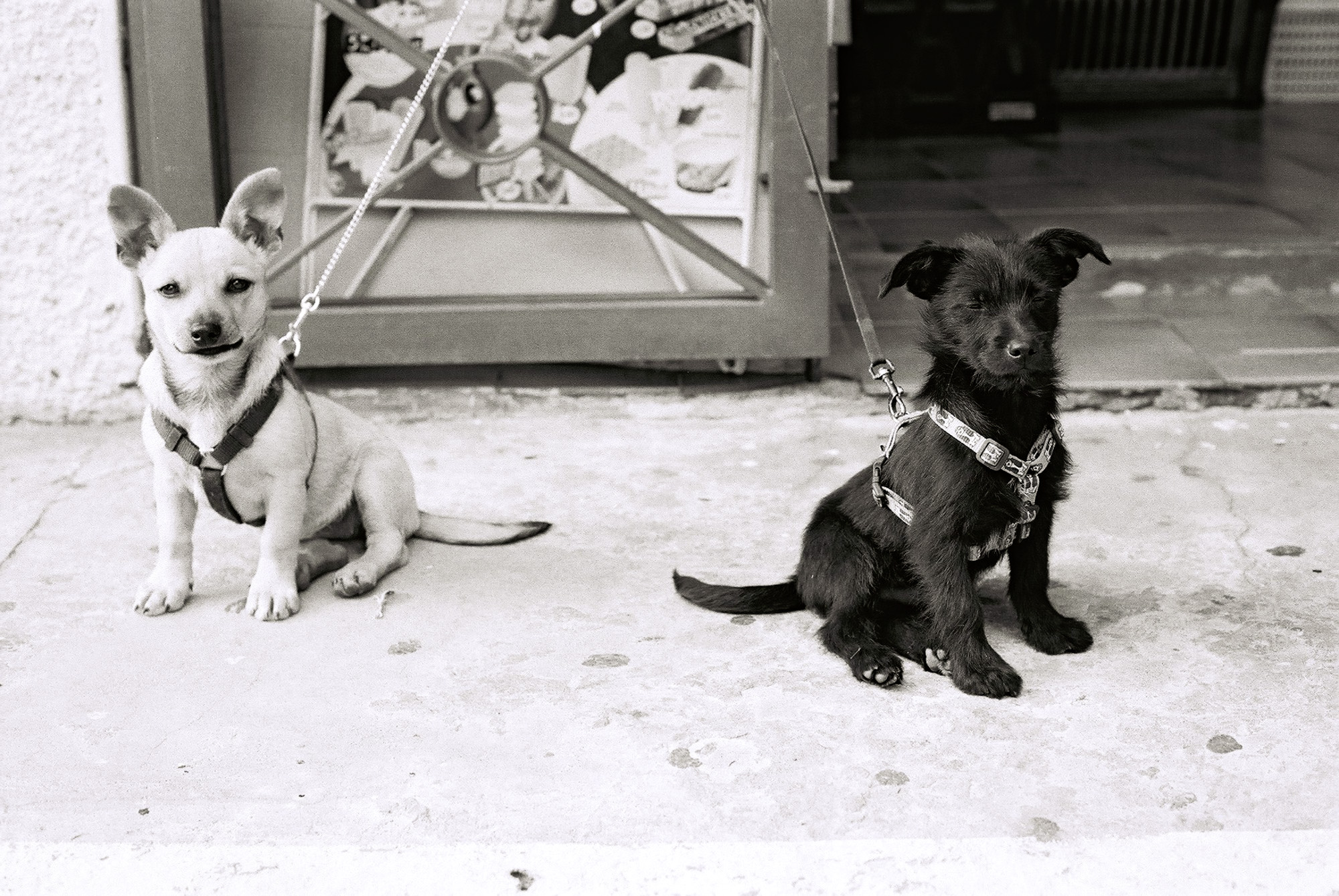 © Holger Kral • Photography - Go04_17_28 - 2004, blackwhite, cosas, gomera, journey, landscape, street - photo #38 - 