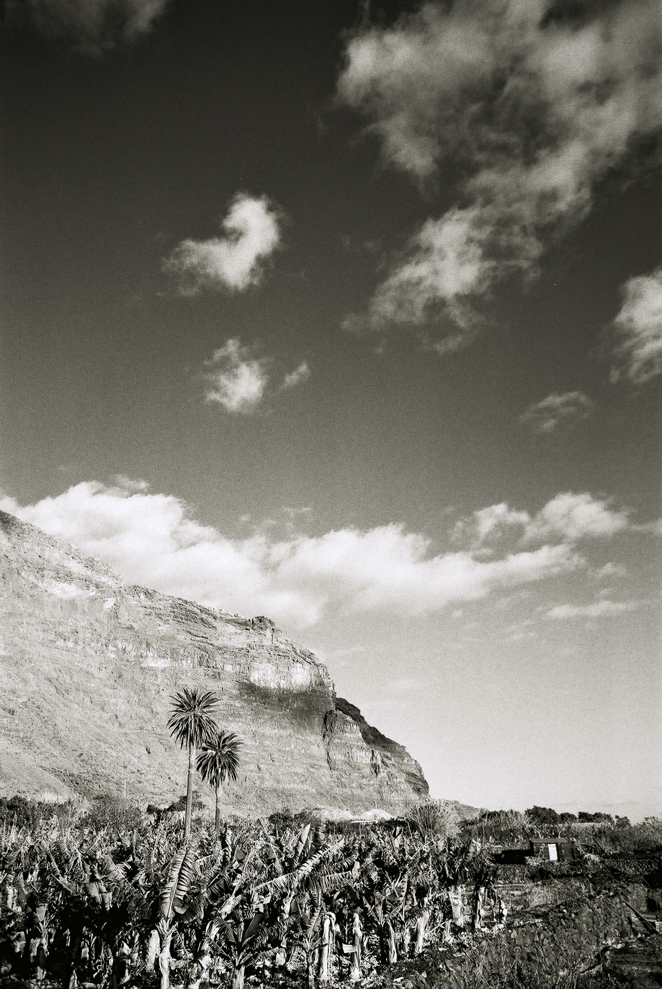 © Holger Kral • Photography - Go04_18_05 -  - photo #16 - 