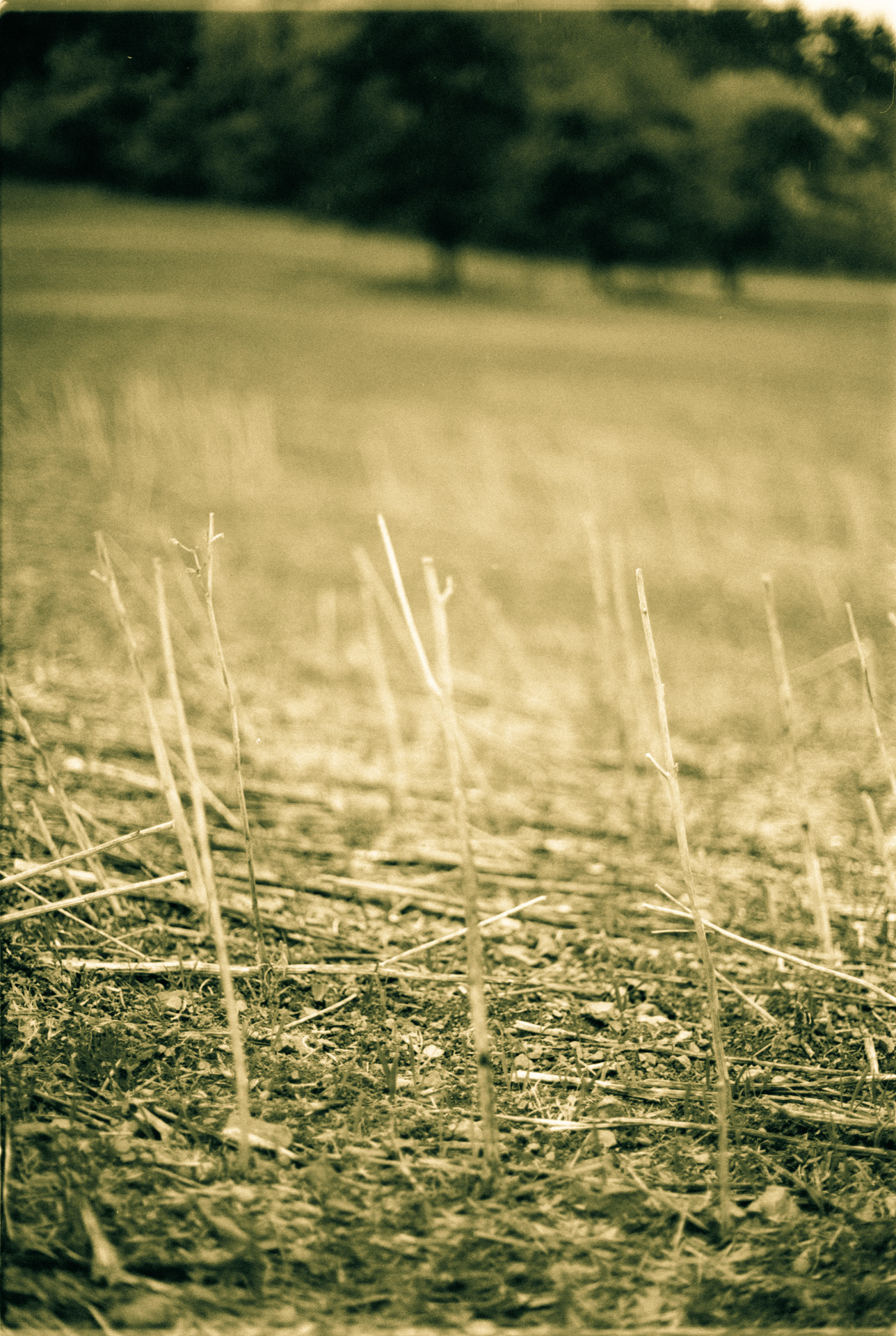 © Holger Kral • Photography - 04-16-16 - 2004, blackwhite, countryside, germany, journey, landscape, nature - photo #1 - 