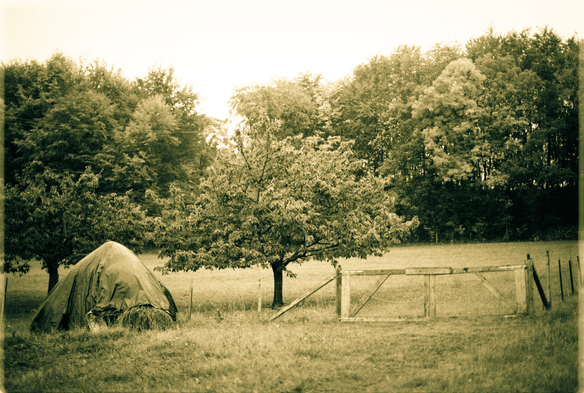 © Holger Kral • Photography - 04-16-32 - 2004, blackwhite, countryside, germany, journey, landscape, nature - photo #2 - 