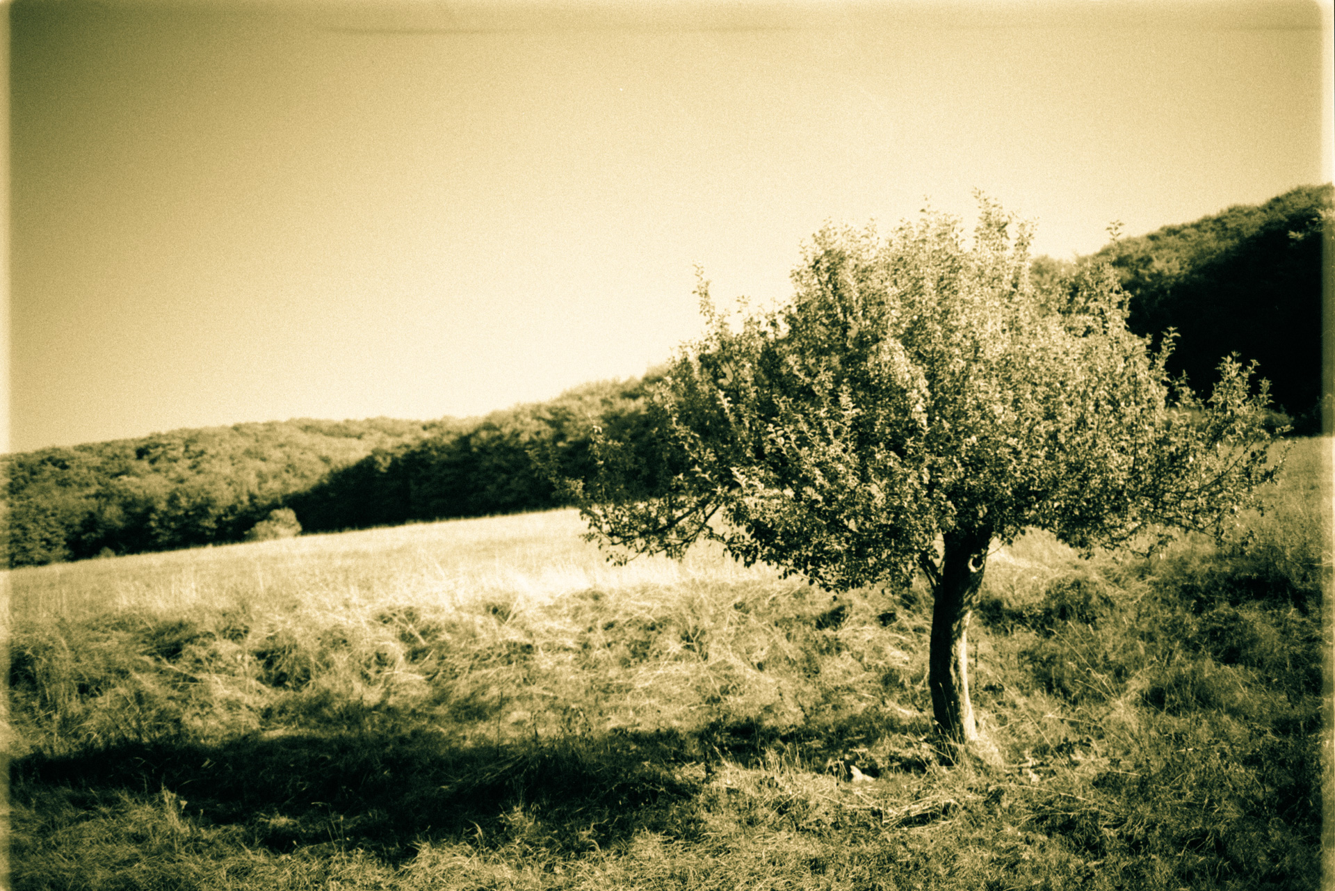 © Holger Kral • Photography - 04-17-52 - 2004, blackwhite, countryside, germany, journey, landscape, nature - photo #9 - 