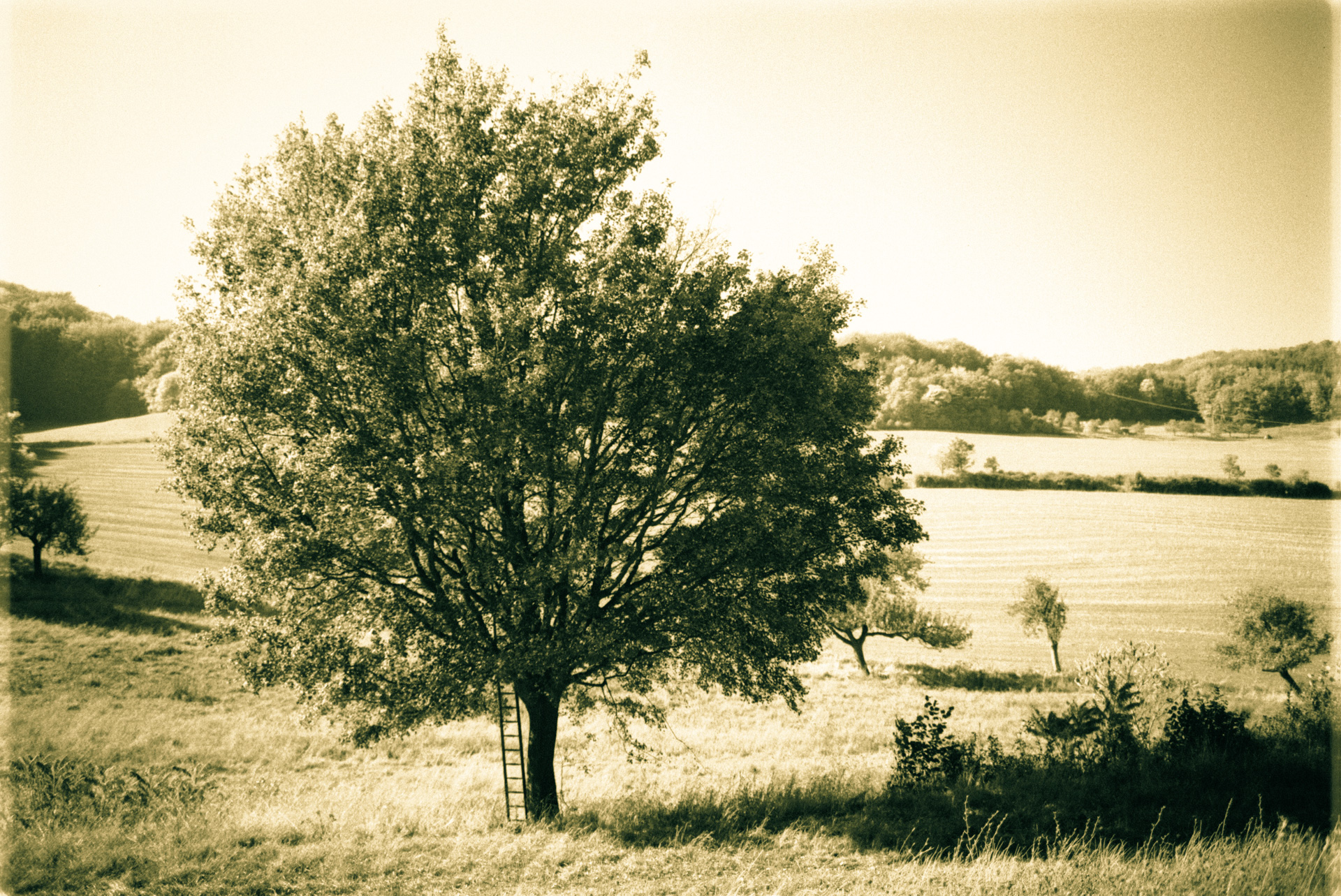 © Holger Kral • Photography - 04-17-68 - 2004, blackwhite, countryside, germany, journey, landscape, nature - photo #12 - 