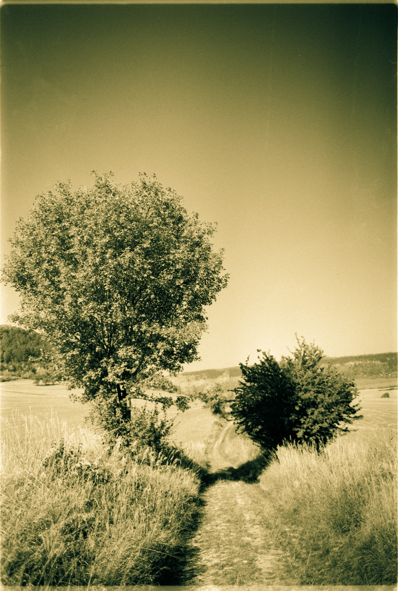 © Holger Kral • Photography - 04-18-21 - 2004, blackwhite, countryside, germany, journey, landscape, nature - photo #16 - 