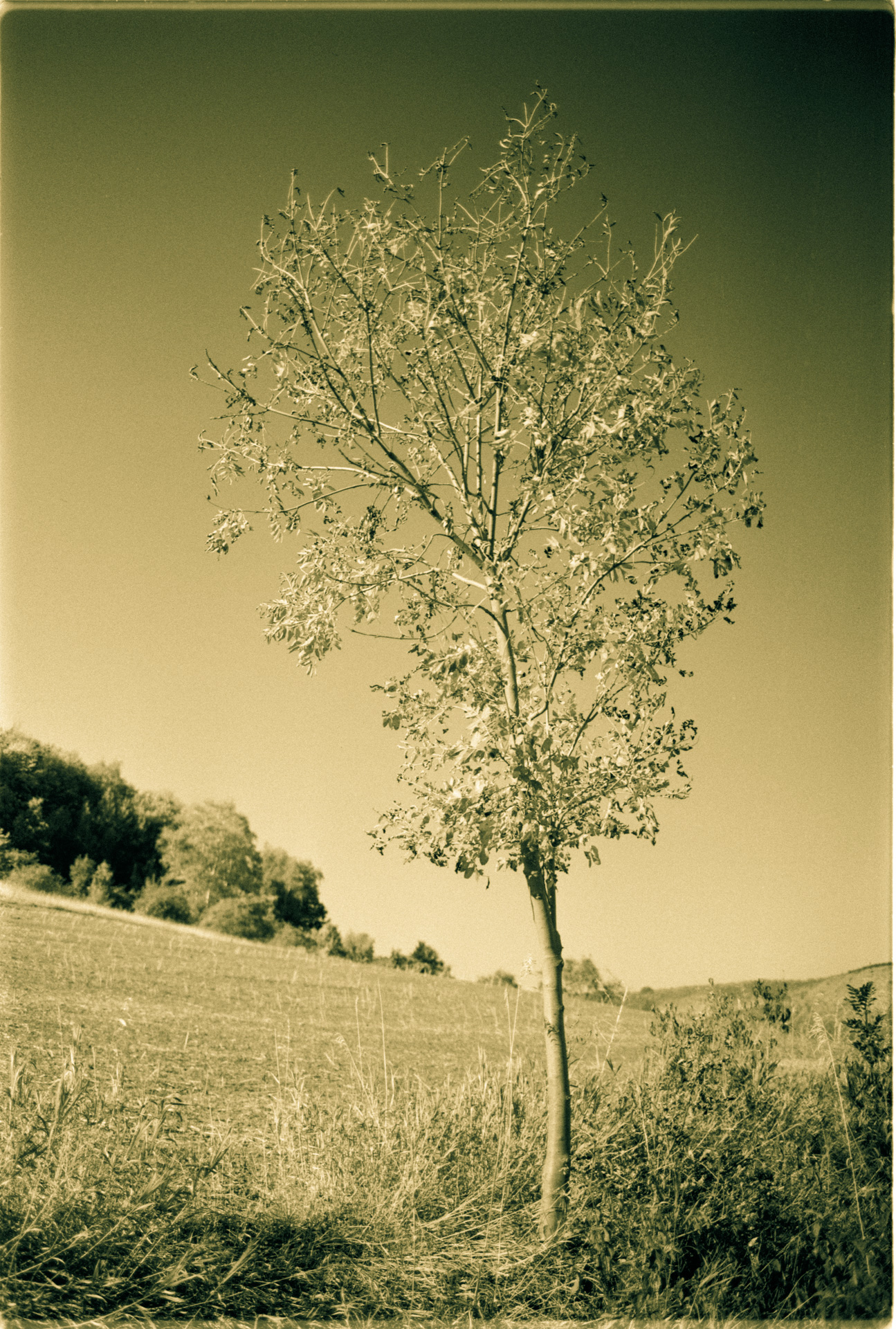 © Holger Kral • Photography - 04-18-29 - 2004, blackwhite, countryside, germany, journey, landscape, nature - photo #18 - 