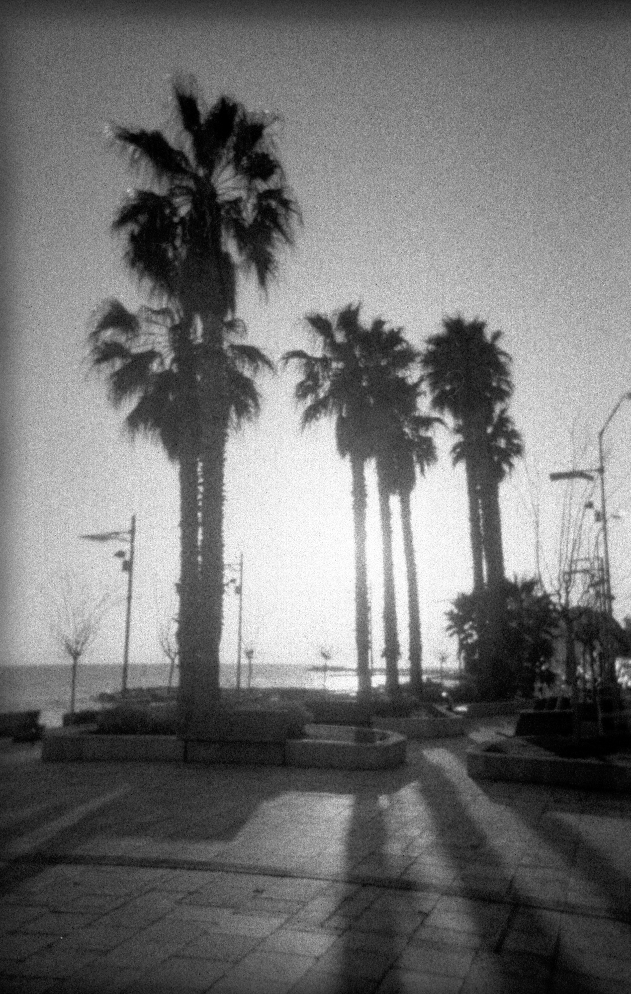 © Holger Kral • Photography - 08-01-035 -  - photo #10 - 