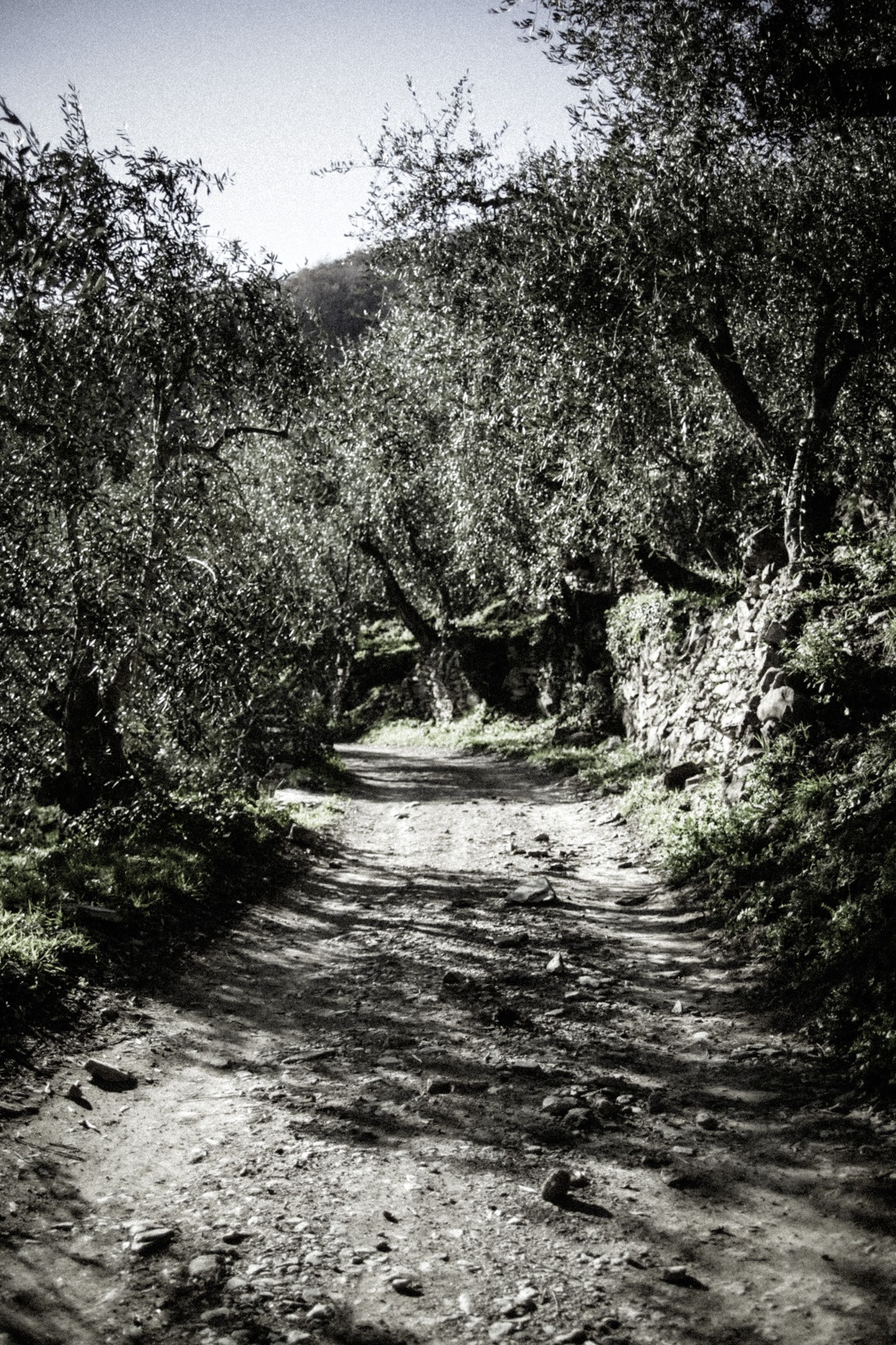 © Holger Kral • Photography - IMG_1377 - 2013, color, italy, journey, landscape, winter - photo #8 - 