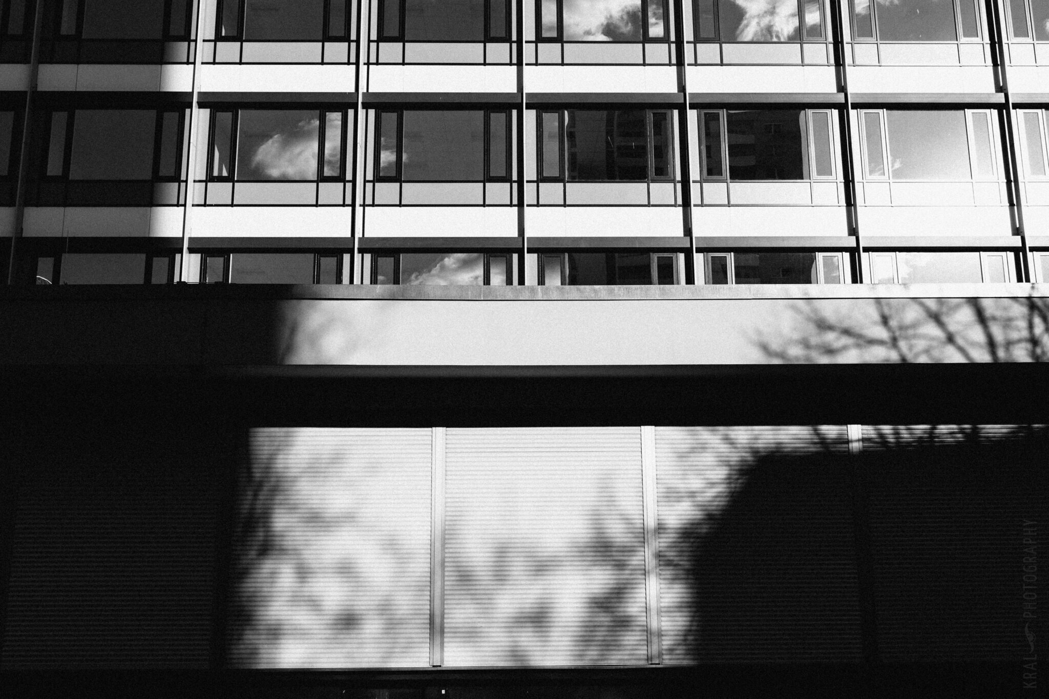 © Holger Kral • Photography - 19_IMG_1318 -  - photo #19 - 