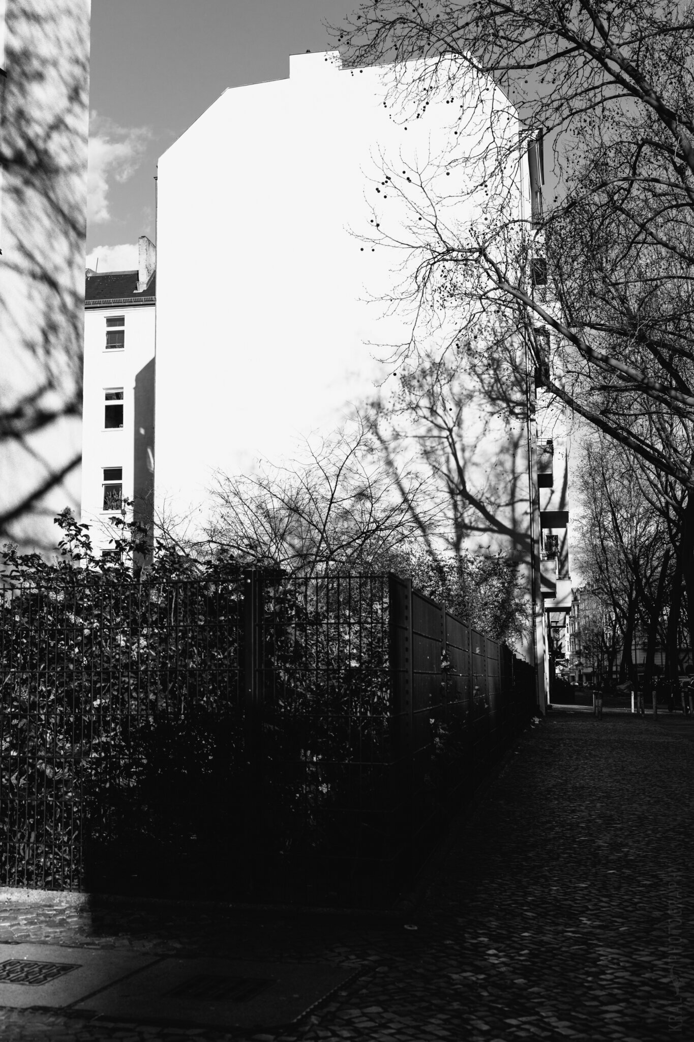 © Holger Kral • Photography - 20_IMG_1339 -  - photo #20 - 